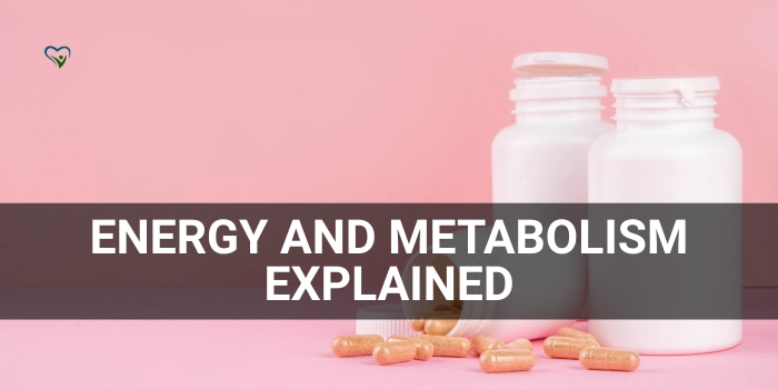 Energy and Metabolism Explained